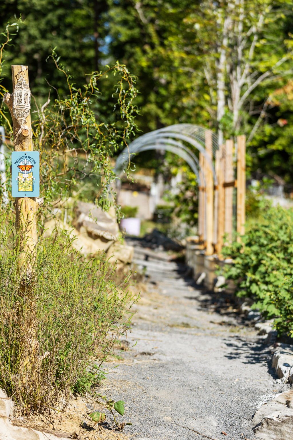 Wooded trail at Talking Water Nature Retreat