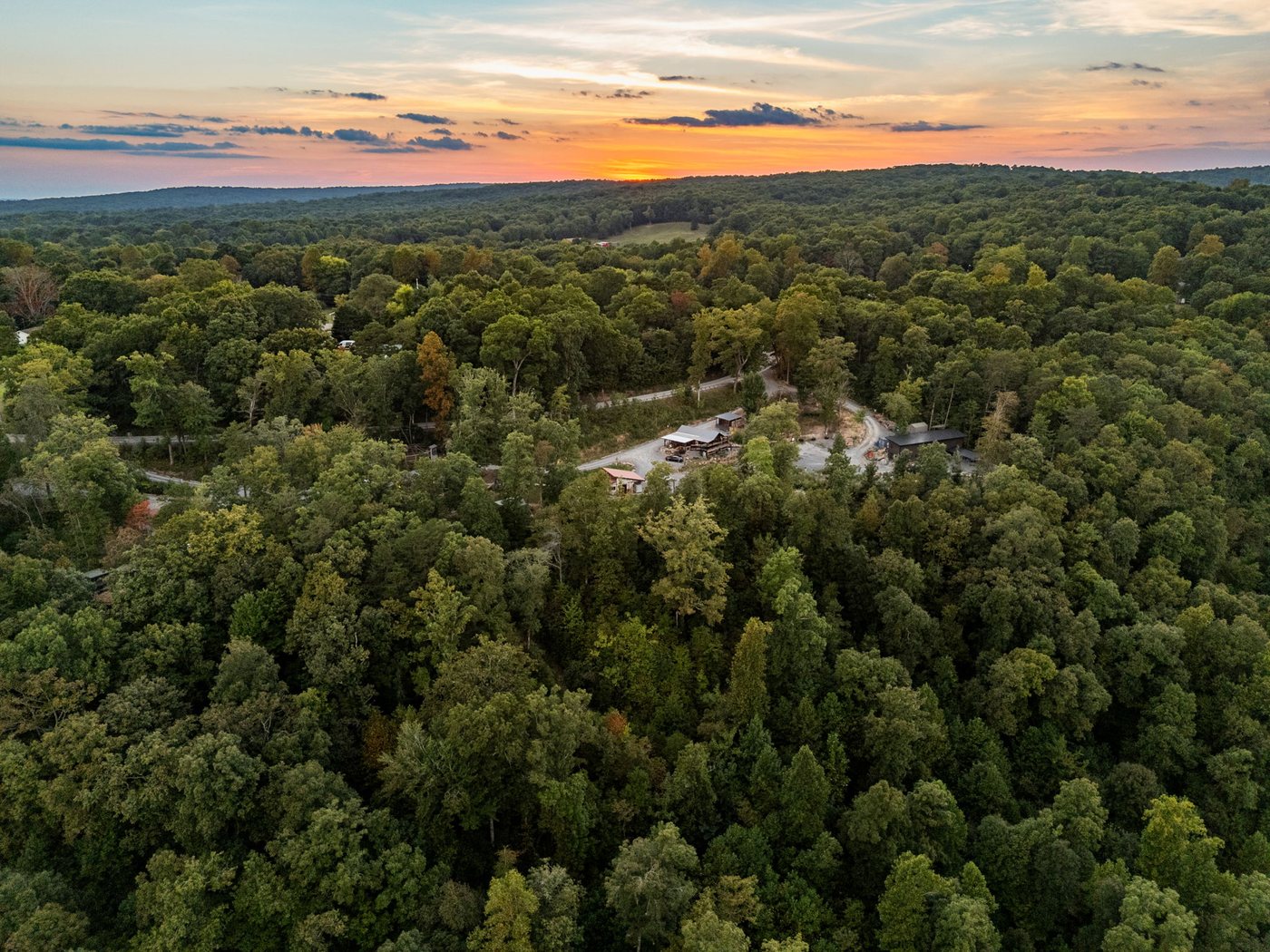 Aerial view over the treetops toward the cabins