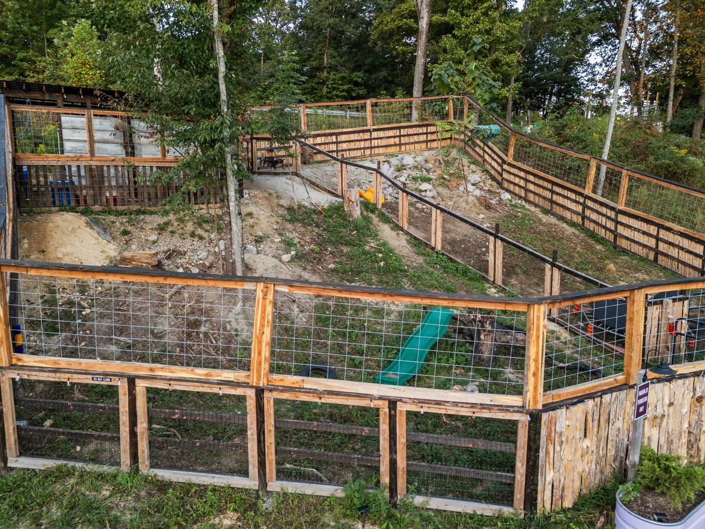 Fenced garden beds on the hillside