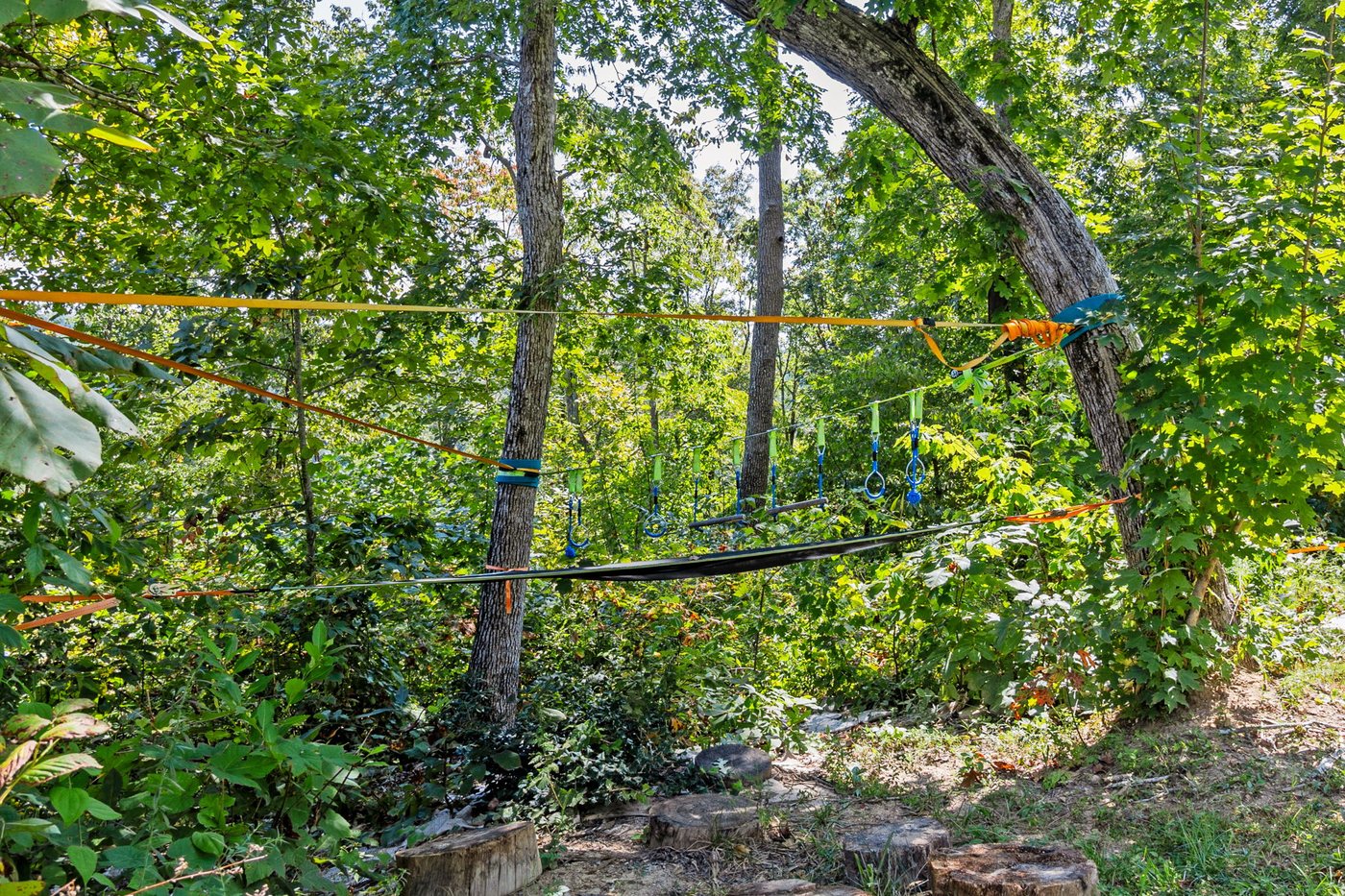 The timber play structure in the clearing