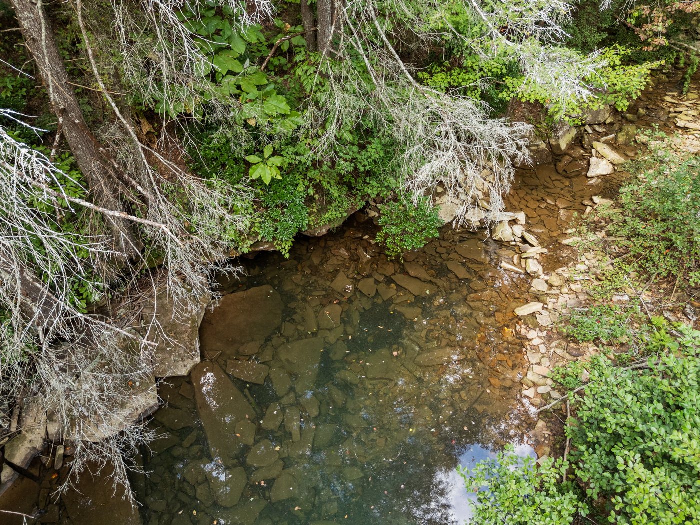 Pools and rock ledges along the creek