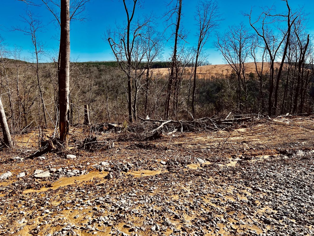 The cleared bluff with the ridge beyond