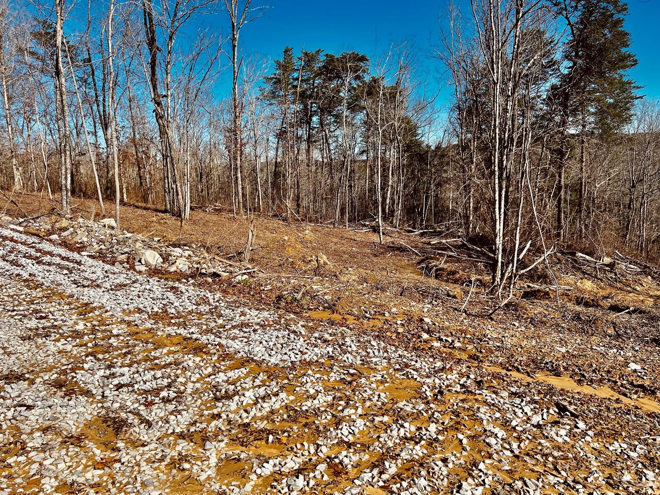 A freshly cleared and graveled slope on the property