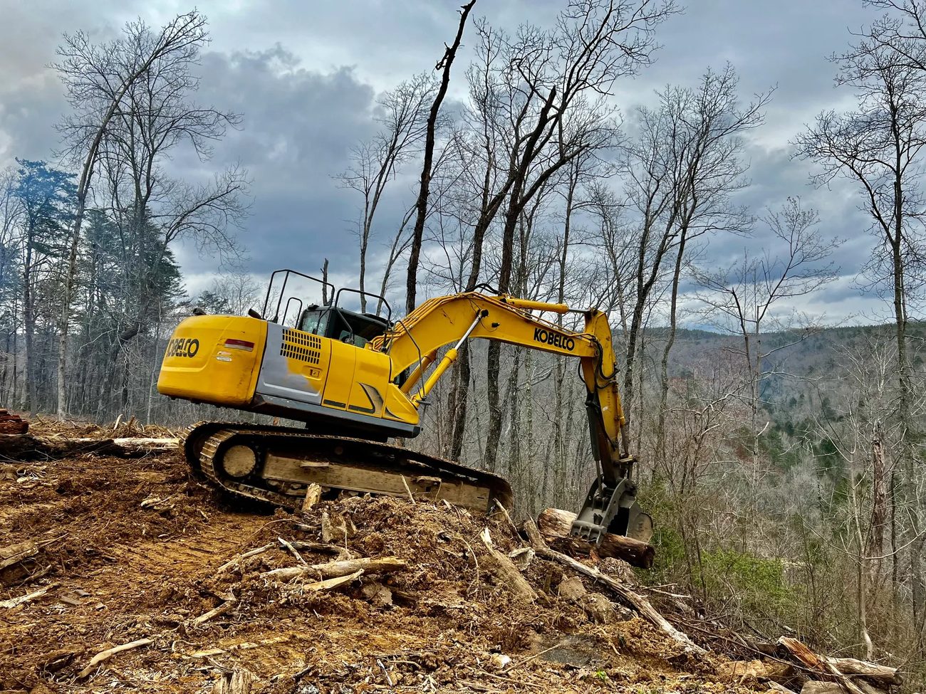 Heavy machinery clearing the bluff