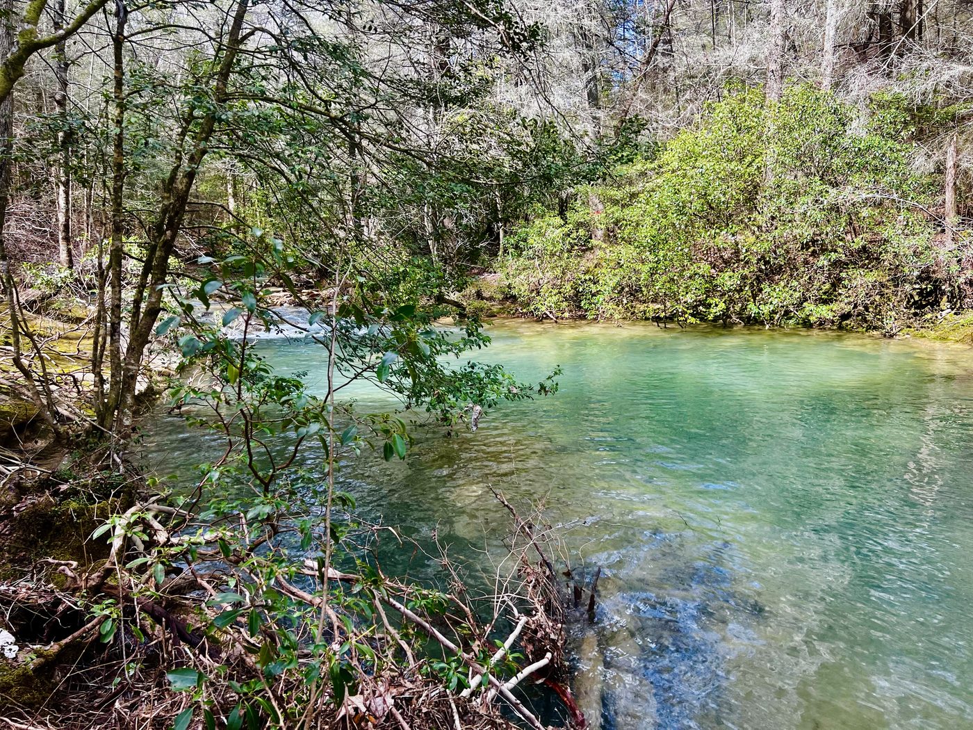 The blue-green swimming hole on Suck Creek