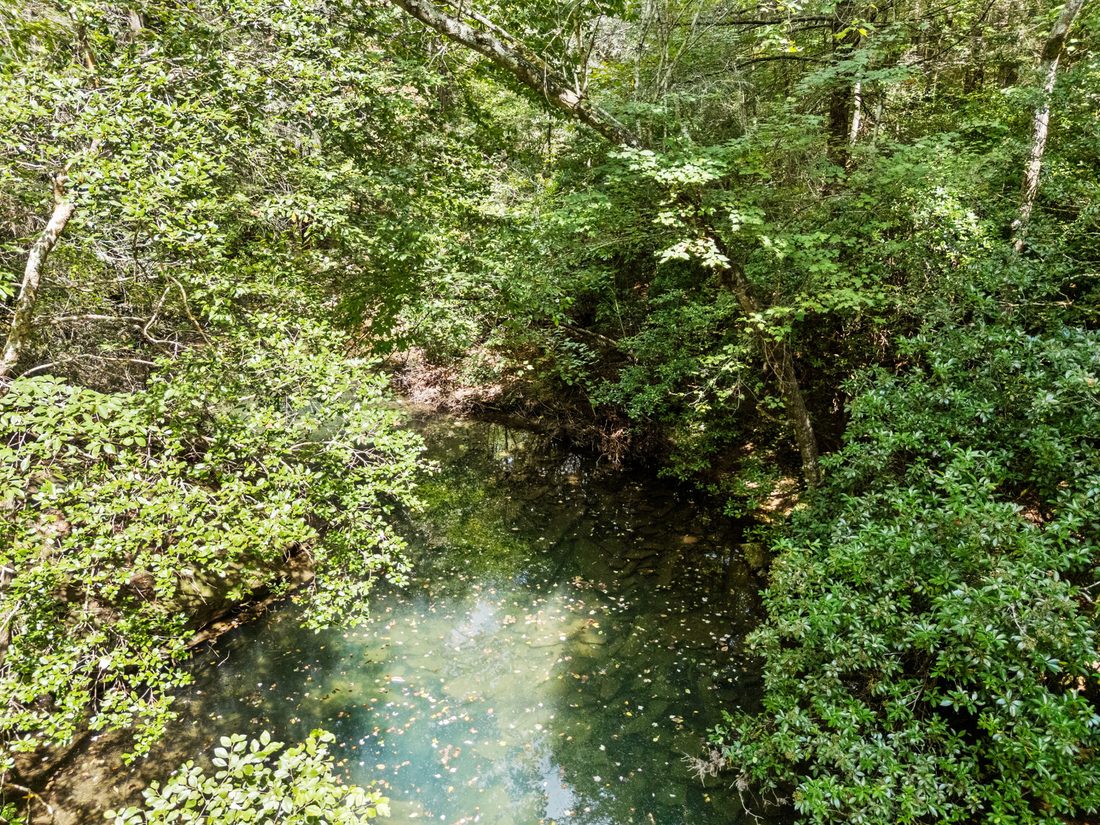 A blue-green pool on the creek, seen from above