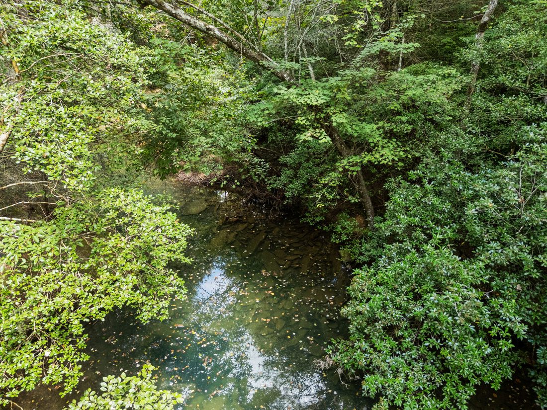 The creek winding through the woods below the bluff
