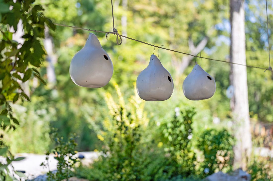 Hand-thrown gourd pendant lights strung outdoors